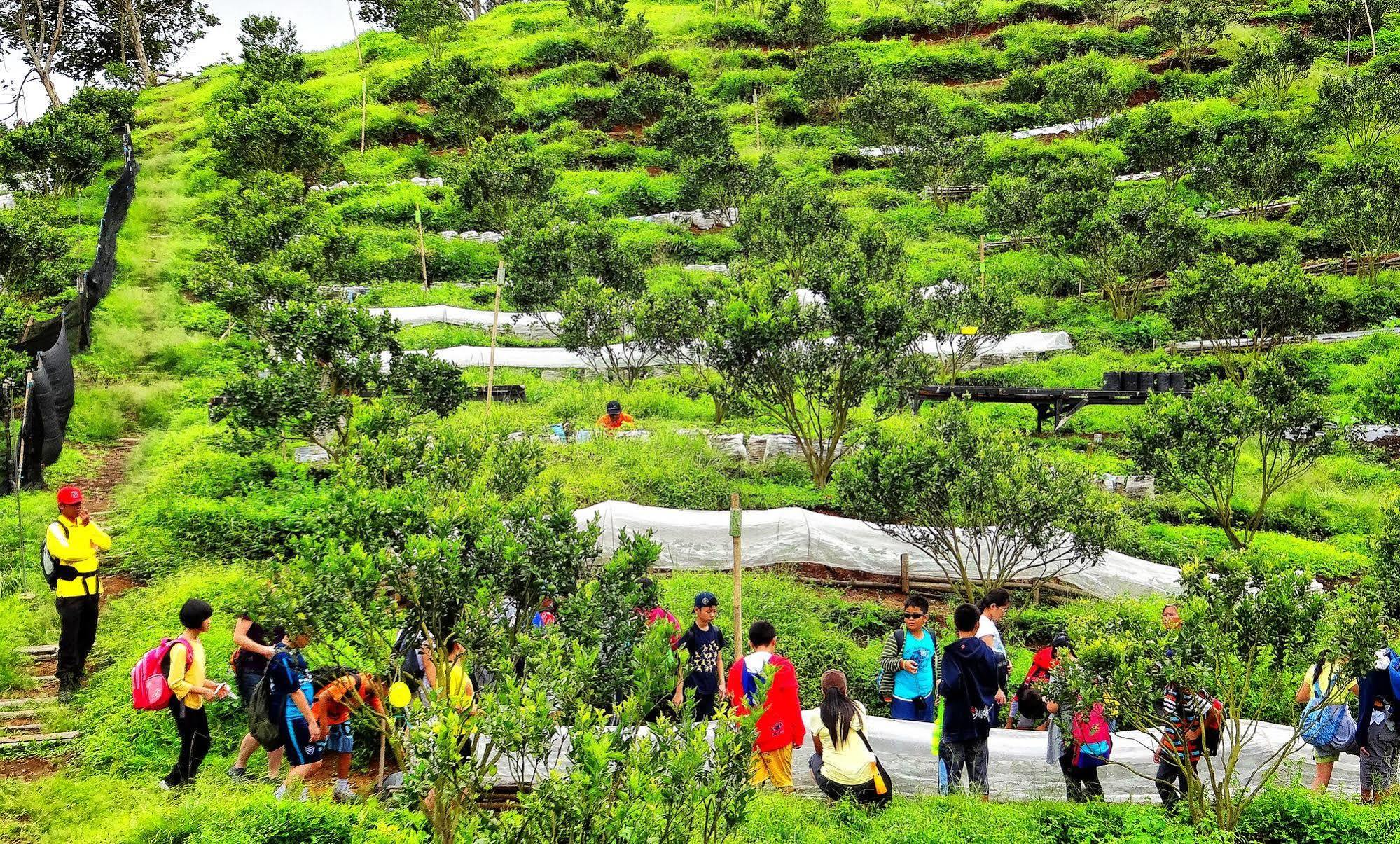 Taman Simalem Resort Tongging Exterior photo